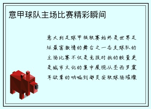 意甲球队主场比赛精彩瞬间
